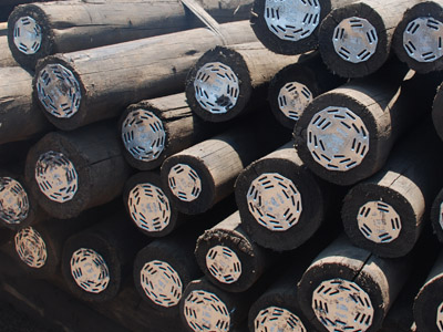 Creo poles